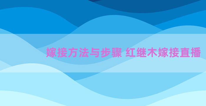 嫁接方法与步骤 红继木嫁接直播